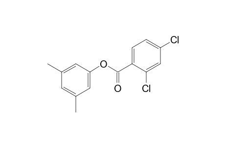 3,5-Xylenol, 2,4-dichlorobenzoate