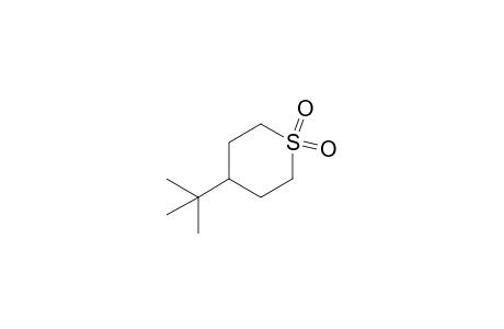 4-tert-Butylthiane 1,1-Dioxide