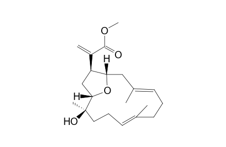 Eunioloic acid methyl ester