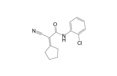 N-(2-Chlorophenyl)-2-cyano-2-cyclopentylideneacetamide