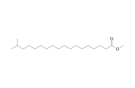 Octadecanoic acid, 17-methyl-, methyl ester