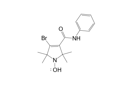 4-Bromo-2,2,5,5-tetramethyl-3-[(phenylamino)carbonyl]-2,5-dihydro-1H-pyrrol-1-oxyl Radical