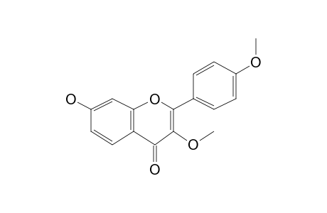 7-Hydroxy-3-methoxy-2-p-methoxyphenyl-4H-chromen-4-one