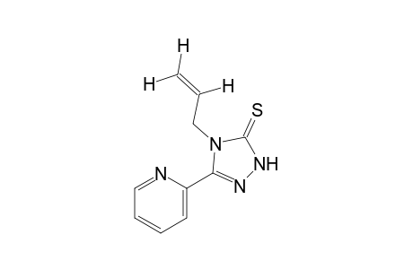 4-allyl-3-(2-pyridyl)-delta square-1,2,4-triazoline-5-thione