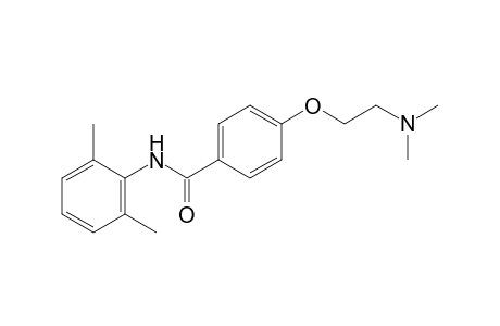 4-[2-(Dimethylamino)ethoxy]-2',6'-benzoxylidide