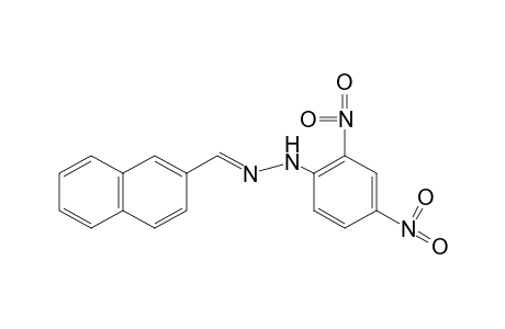 2-Naphthaldehyde, (2,4-dinitrophenyl)hydrazone