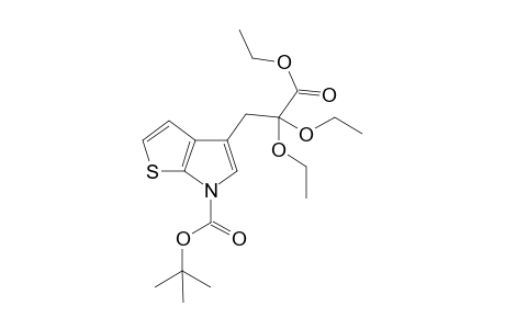 4-[(Carboethoxydiethoxy)methylene]-6-[(tert-butoxycarbonyl)-4,5-dihydro-thieno[2,3-b]pyrrole