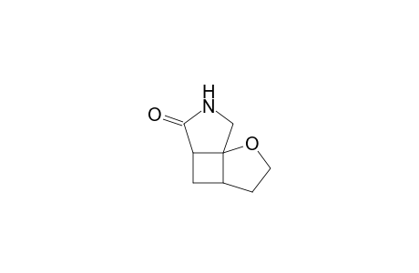 Hexahydro-1-oxa-6-azacyclo[1,2:1,4]dicyclopenten-5-one