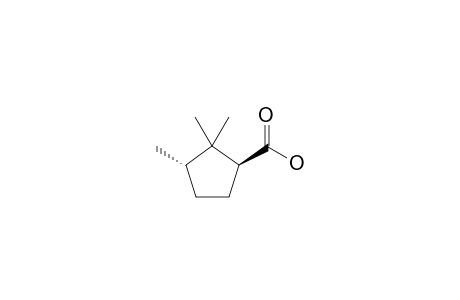 (1S,3S)-2,2,3-Trimethylcyclopentanecarboxylic acid