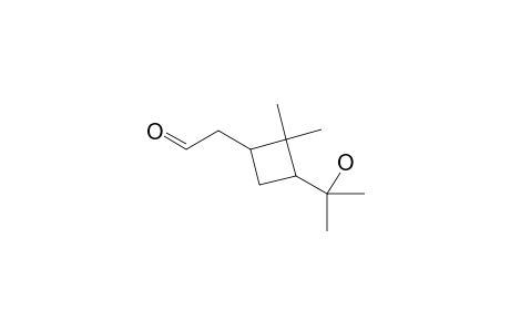 2-[3'-(1"-Hydroxy-1"-methylethyl)-2',2'-dimethylcyclobutyl] ethanal