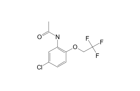 5-Chloro-2-(2,2,2-trifluoroethoxy)aniline, N-acetyl-