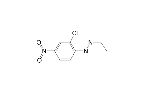 Hydrazine, N-(2-chloro-4-nitrophenyl)-N'-ethyl-