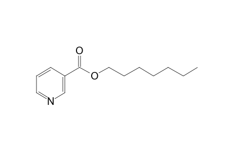 Nicotinic acid, heptyl ester