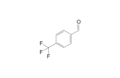 alpha,alpha,alpha-TRIFLUORO-p-TOLUALDEHYDE