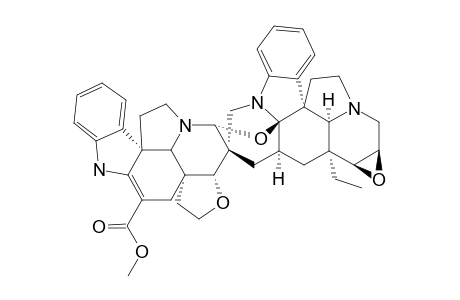 Folicangine