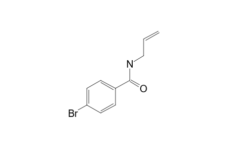 Benzamide, 4-bromo-N-allyl-