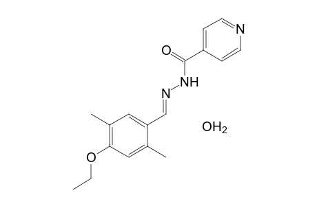 isonicotinic acid, (2,5-dimethyl-4-ethoxybenzylidene)hydrazide, monohydrate