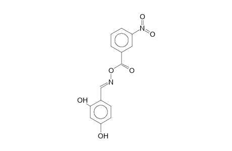 2,4-Dihydroxy-O-(3-nitrobenzoyl)benzaldoxime