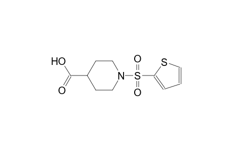 4-piperidinecarboxylic acid, 1-(2-thienylsulfonyl)-