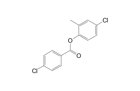 4-Chlorobenzoic acid, 4-chloro-2-methylphenyl ester