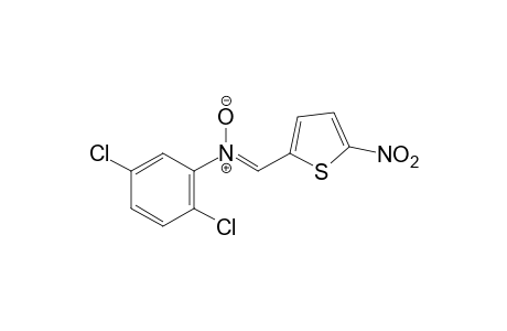 N-(2,5-dichlorophenyl)-alpha-(5-nitro-2-thienyl)nitrone