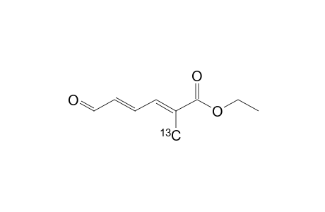 (7-(C-13))-ETHYL-2-METHYL-6-OXO-HEXA-2,4-DIENOATE