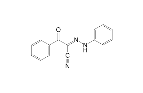 alpha,beta-DIOXOHYDROCINNAMONITRILE, alpha-(PHENYLHYDRAZONE)
