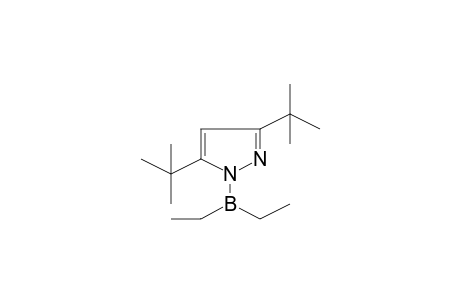 3,5-Ditert-butyl-1-(diethylboryl)-1H-pyrazole