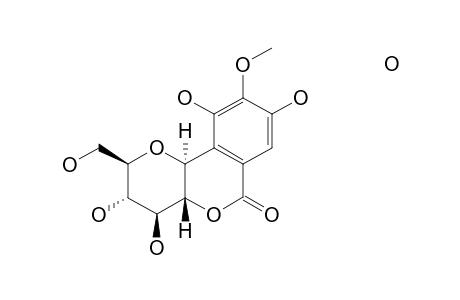 Bergenin monohydrate