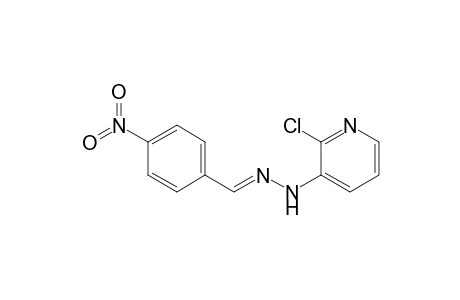 2-Chloro-3-(4-nitrobenzylidenehydrazino)pyridine