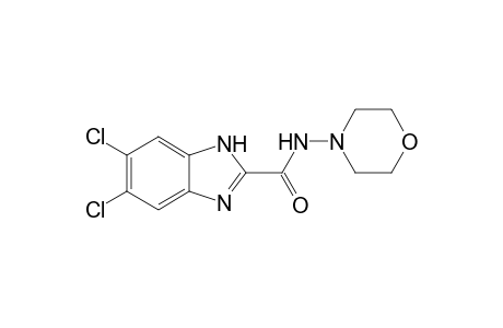 5,6-Dichloro-N-morpholin-4-yl-1H-benzimidazole-2-carboxamide