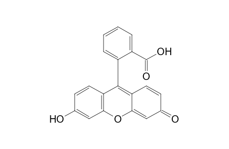 Fluorescein