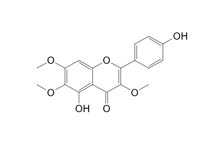 PENDULETIN;4',5-DIHYDROXY-3,6,7-TRIMETHOXYFLAVONE