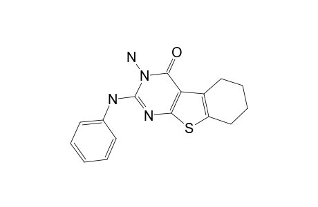 3-AMINO-2-PHENYLAMINO-5,6,7,8-TETRAHYDRO-3H-BENZO-[4,5]-THIENO-[2,3-D]-PYRIMIDIN-4-ONE