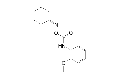 cyclohexanone, O-[(o-methoxyphenyl)carbamoyl]oxime