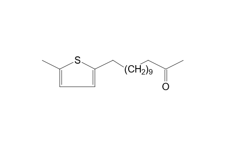 2-(12-OXO-TRIDECYL)-5-METHYLTHIOPHENE