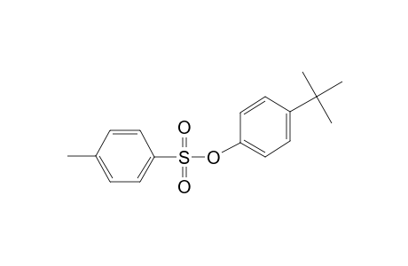 4-Tert-butylphenol tosylate