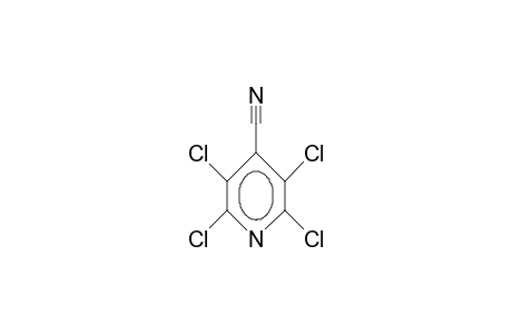 2,3,5,6-Tetrachloroisonicotinonitrile