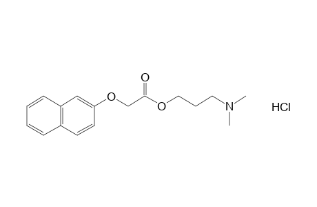 [(2-naphthyl)oxy]acetic acid, 3-(dimethylamino)propyl ester, hydrochloride