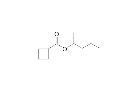 Cyclobutanecarboxylic acid, 2-pentyl ester