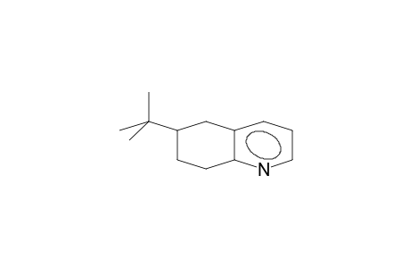 6-tert.Butyl-5,6,7,8-tetrahydrochinolin
