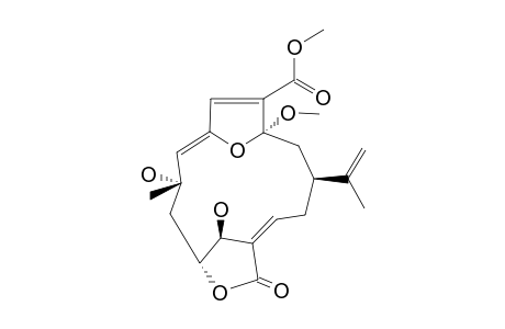 SINUFLEXIBILIN-E