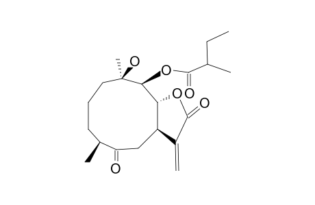 INEUPAPOROLIDE A