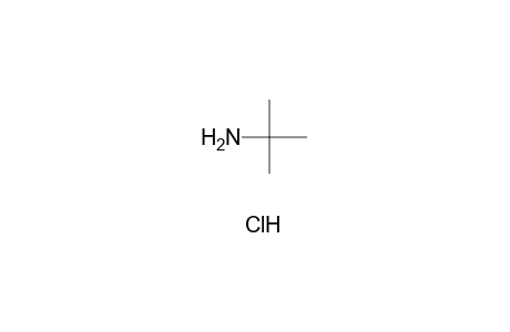 tert-butylamine, hydrochloride