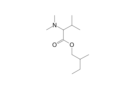 N,N-Dimethyl-L-valine, 2-methylbutyl ester