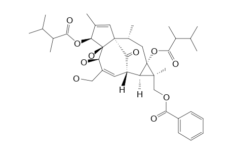 17-BENZOYLOXY-3-O-(2,3-DIMETHYLBUTANOYL)-13-(2,3-DIMETHYLBUTANOYLOXY)-INGENOL