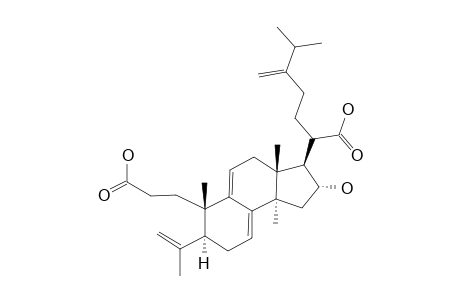 PORICOIC-ACID-A;16-ALPHA-HYDROXY-3,4-SECOLANOSTA-4(28),7,9(11),24(31)-TETRAEN-3,21-DIOIC-ACID