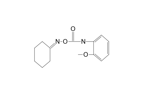 cyclohexanone, O-[(o-methoxyphenyl)carbamoyl]oxime