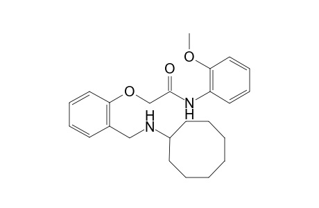 2-{2-[(cyclooctylamino)methyl]phenoxy}-N-(2-methoxyphenyl)acetamide