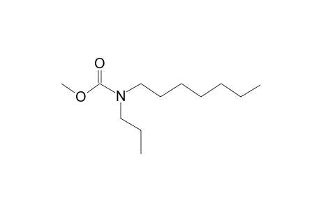 Carbonic acid, monoamide, N-propyl-N-heptyl-, methyl ester